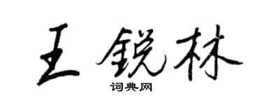 王正良王锐林行书个性签名怎么写