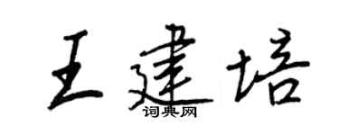 王正良王建培行书个性签名怎么写