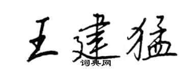 王正良王建猛行书个性签名怎么写