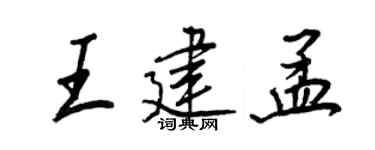 王正良王建孟行书个性签名怎么写