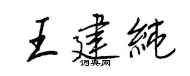 王正良王建纯行书个性签名怎么写