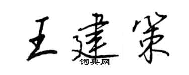 王正良王建策行书个性签名怎么写