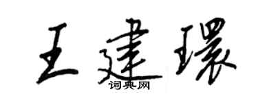 王正良王建环行书个性签名怎么写