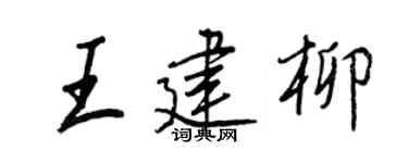 王正良王建柳行书个性签名怎么写