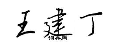 王正良王建丁行书个性签名怎么写