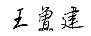 王正良王曾建行书个性签名怎么写