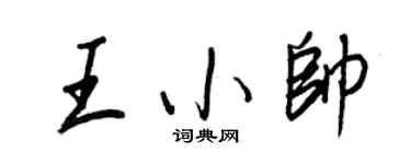 王正良王小帅行书个性签名怎么写