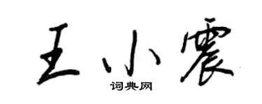 王正良王小震行书个性签名怎么写