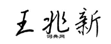 王正良王兆新行书个性签名怎么写