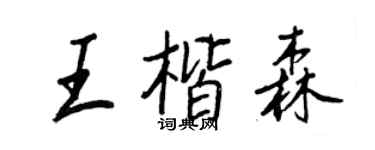 王正良王楷森行书个性签名怎么写