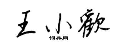 王正良王小欢行书个性签名怎么写