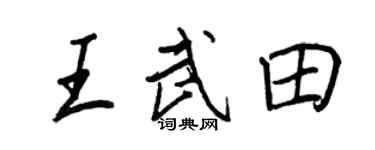 王正良王武田行书个性签名怎么写