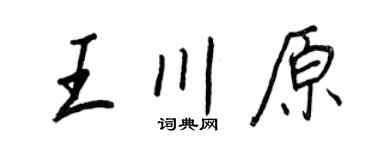 王正良王川原行书个性签名怎么写