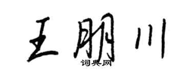 王正良王朋川行书个性签名怎么写