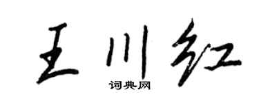 王正良王川红行书个性签名怎么写