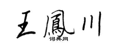 王正良王凤川行书个性签名怎么写