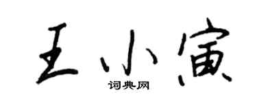 王正良王小寅行书个性签名怎么写