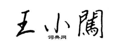 王正良王小闯行书个性签名怎么写