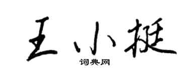 王正良王小挺行书个性签名怎么写