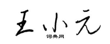 王正良王小元行书个性签名怎么写