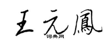 王正良王元凤行书个性签名怎么写