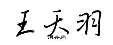 王正良王夭羽行书个性签名怎么写