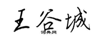 王正良王谷城行书个性签名怎么写