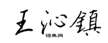 王正良王沁镇行书个性签名怎么写