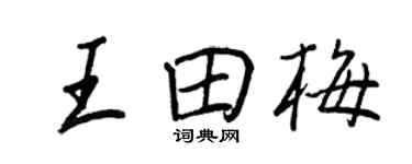 王正良王田梅行书个性签名怎么写