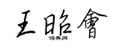 王正良王昭会行书个性签名怎么写