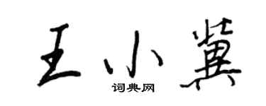 王正良王小冀行书个性签名怎么写