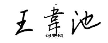 王正良王韦池行书个性签名怎么写