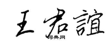 王正良王君谊行书个性签名怎么写