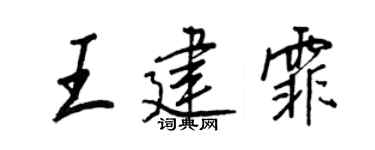 王正良王建霏行书个性签名怎么写