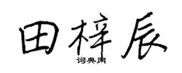 王正良田梓辰行书个性签名怎么写