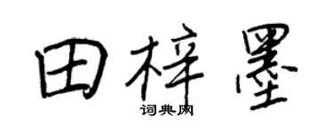 王正良田梓墨行书个性签名怎么写