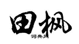 胡问遂田枫行书个性签名怎么写