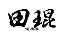 胡问遂田琨行书个性签名怎么写