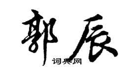 胡问遂郭辰行书个性签名怎么写