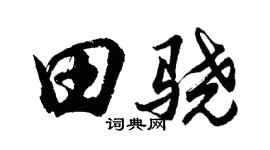 胡问遂田骁行书个性签名怎么写