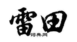 胡问遂雷田行书个性签名怎么写