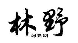 胡问遂林野行书个性签名怎么写