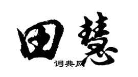 胡问遂田慧行书个性签名怎么写