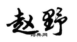 胡问遂赵野行书个性签名怎么写