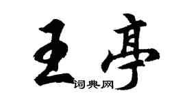 胡问遂王亭行书个性签名怎么写