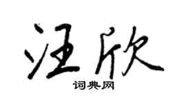 王正良汪欣行书个性签名怎么写