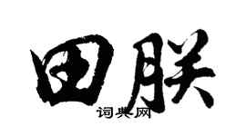 胡问遂田朕行书个性签名怎么写