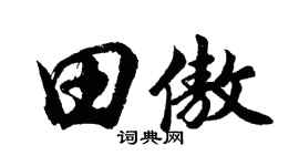 胡问遂田傲行书个性签名怎么写