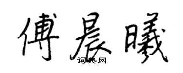 王正良傅晨曦行书个性签名怎么写