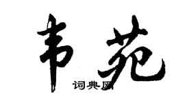 胡问遂韦苑行书个性签名怎么写